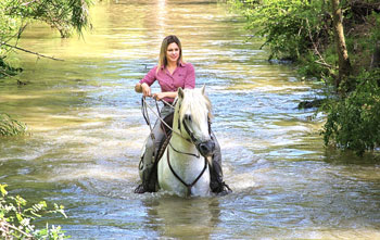 Cheval traversant une rivière