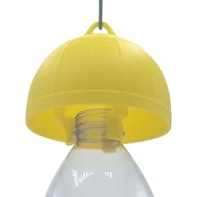 Piège jaune bouteille
